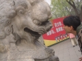 2w_Cimg4757