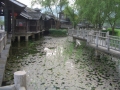 5a_Cimg4983